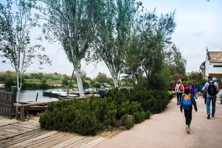 Un grupo de visitantes pasean por el puerto de Catarroja, en Valencia.