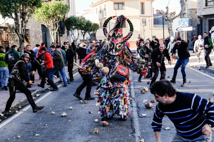 Fotos de la festa del Jarramplas en Piornal.