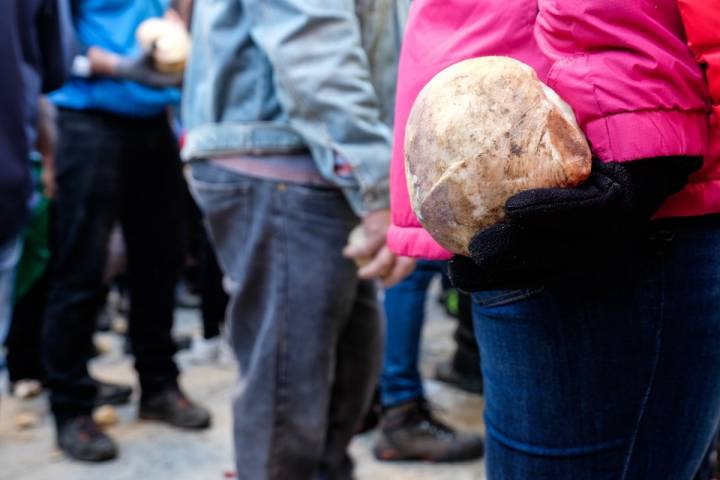 Miles y miles de kilos de nabos son usados durante las fiestas en el pueblo cacereño.