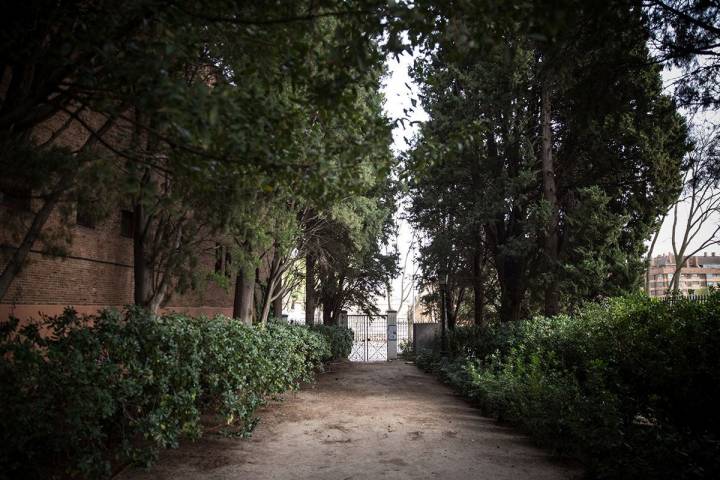 Camino rodeado de cipreses que accede al cementerio de La Florida, en Madrid.