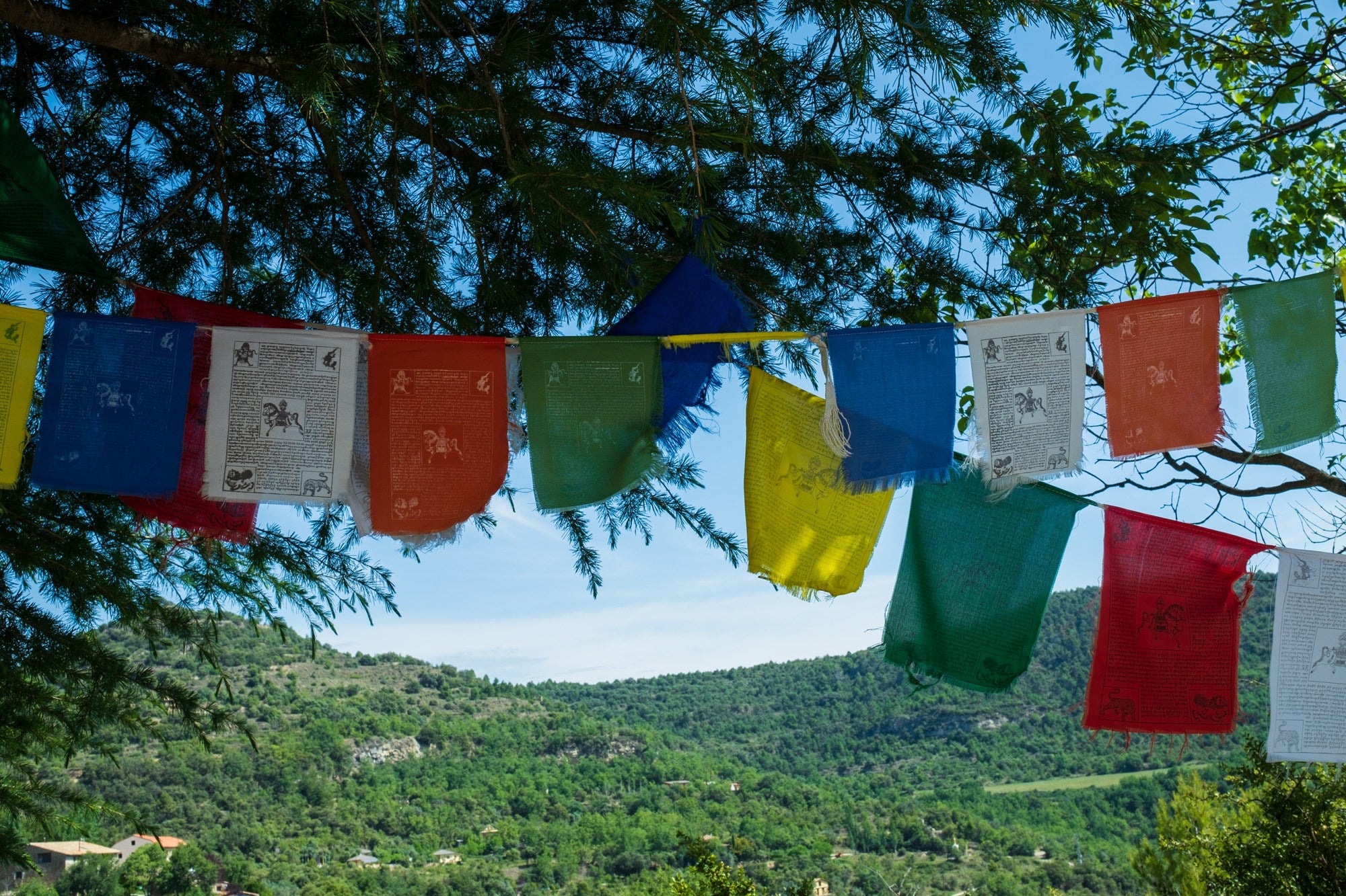 Centro Budista Dag Shang Kagyu