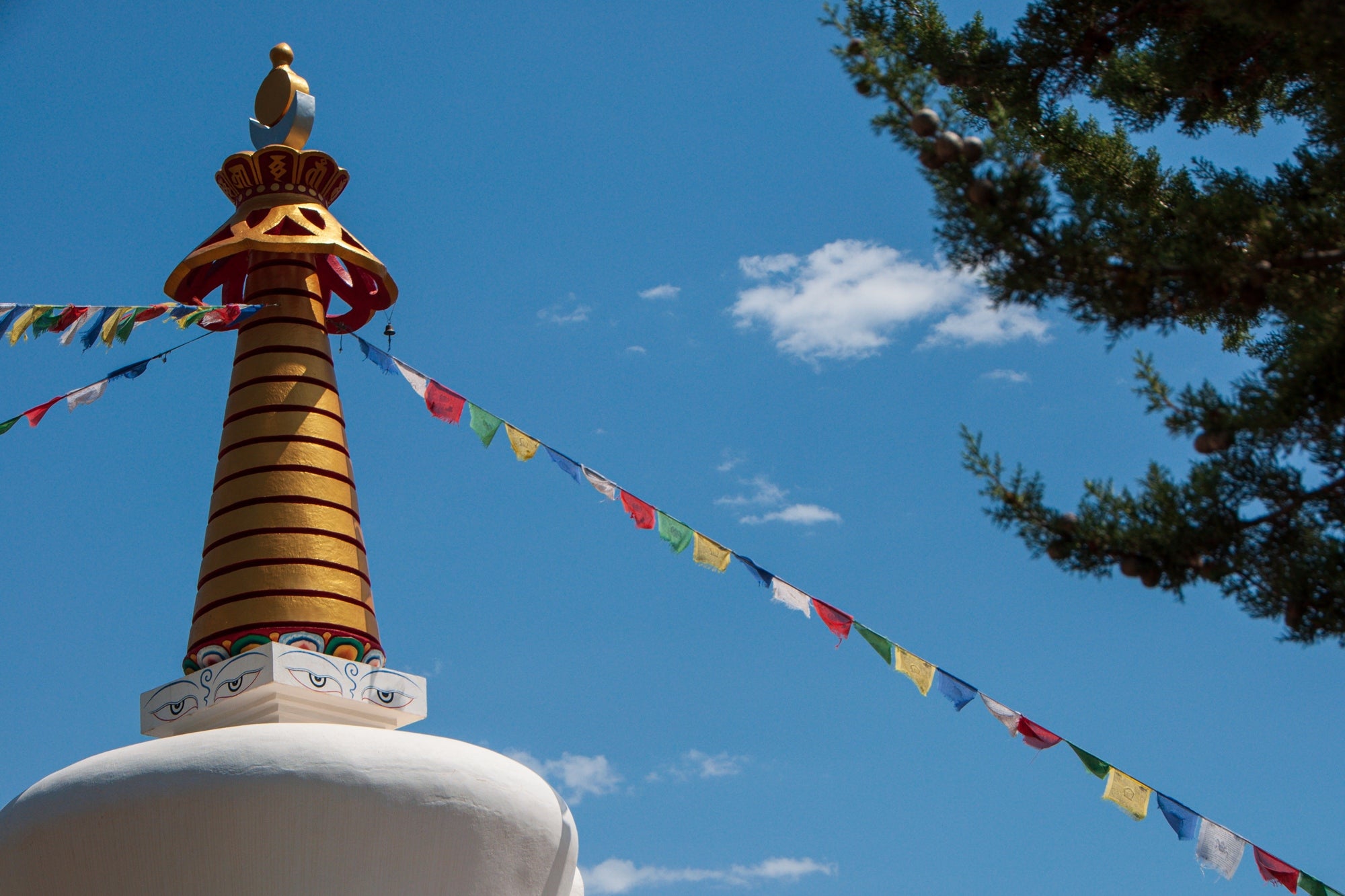 Centro Budista Dag Shang Kagyu