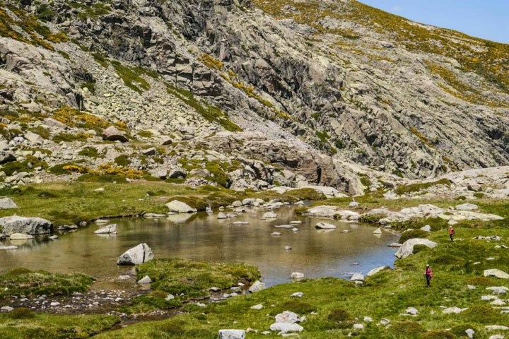 La Laguna Majalaescoba, rodeada de piornos, es la primera en aparecer en la ruta, aunque no pertenece a las cinco protagonistas de la ruta.