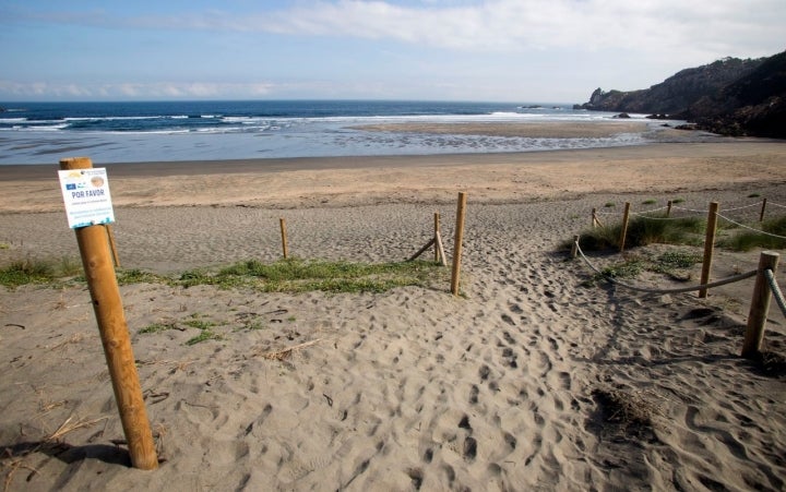 La playa es de dunas y arena fina.