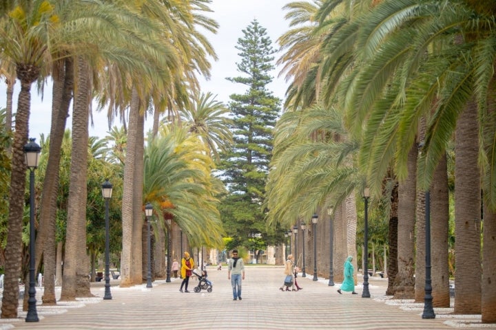 parque hernandez melilla