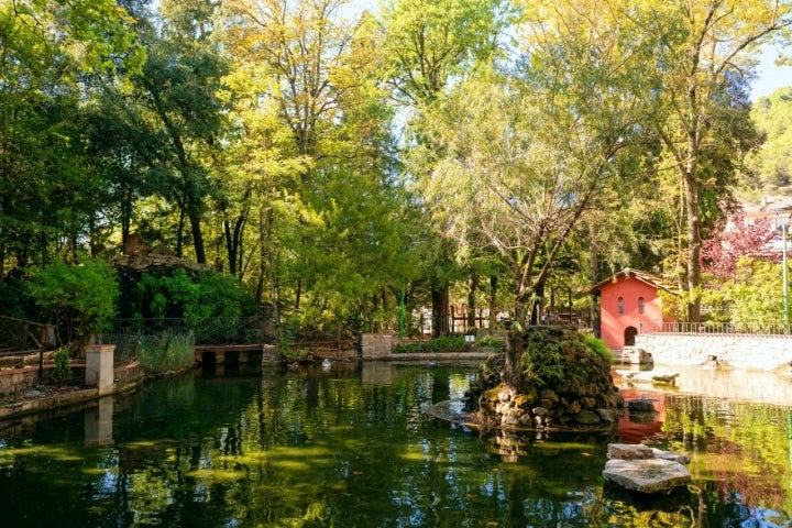 Parque Municipal Francesc Viñas en Moià (comarca del Moianès, Barcelona).