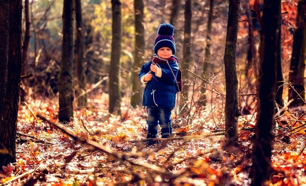 Niño paseando por el bosque