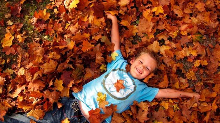 Hojas, hojas y más hojas. ¡A jugar! Foto: Shutterstock