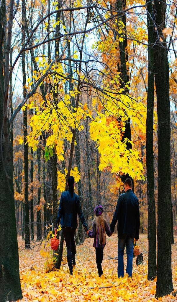 El bosque, para toda la familia. Foto: Shutterstock