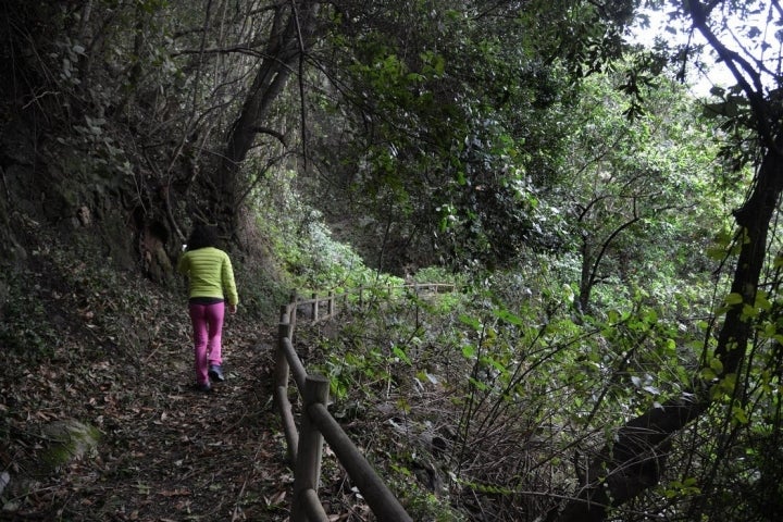 Cubo de la Galga