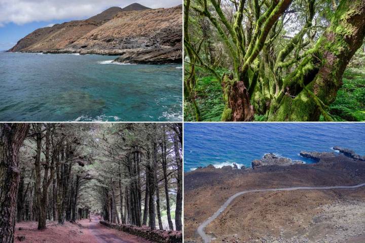 Fotomontaje de cuatro paisajes bien dispares en la isla de El Hierro: El mar, bosque, pinar y carretera por paisaje volcánico.
