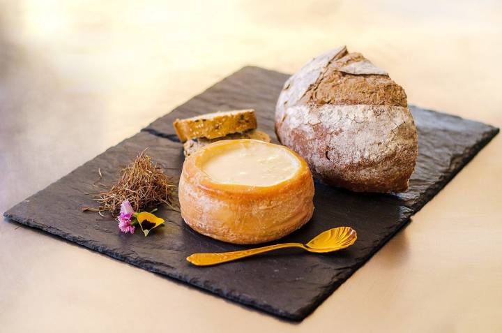 El queso que ha hecho famosa la localidad cacereña. Foto: Facebook Torta del Casar Denominación de Origen.