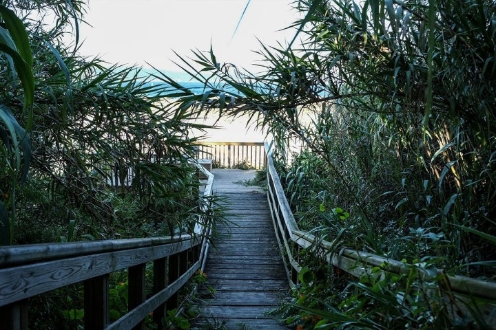 Estas escaleras, al lado de la terraza de 'Serafín', conducen al mirador del Lago de Cíes.