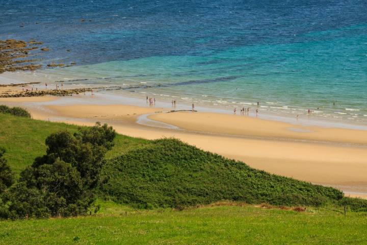 Es uno de los ecosistemas dunares vírgenes del litoral Cantábrico. Foto: Shutterstock.