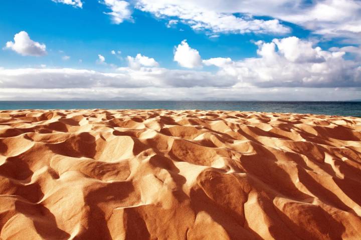 Las dunas de la bella playa de Bolonia. Foto: Shutterstock.