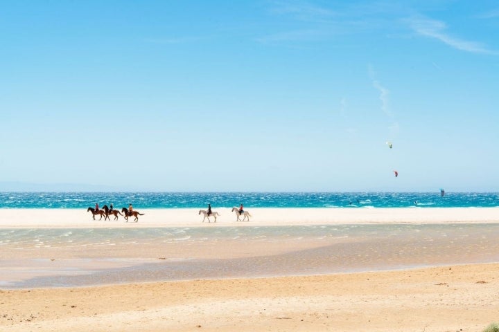 Playa de Punta Paloma (Tarifa).