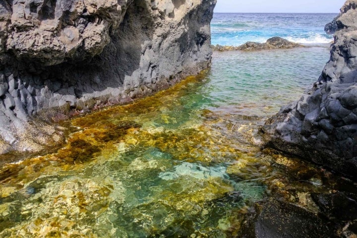 Charco Los Sargos, el Hierro