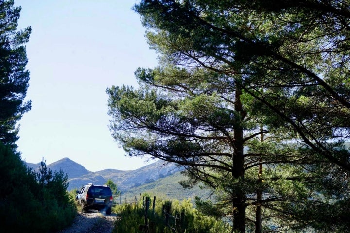 La empresa de turismo activo Naturaliste, organiza diferentes actividades por la cordillera.