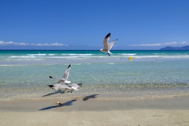 Playa Muros