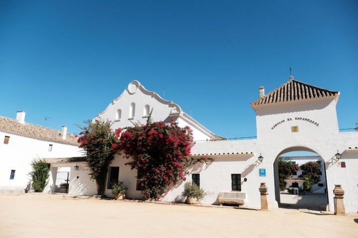 Camino de Santiago sevillano - El Esparragal