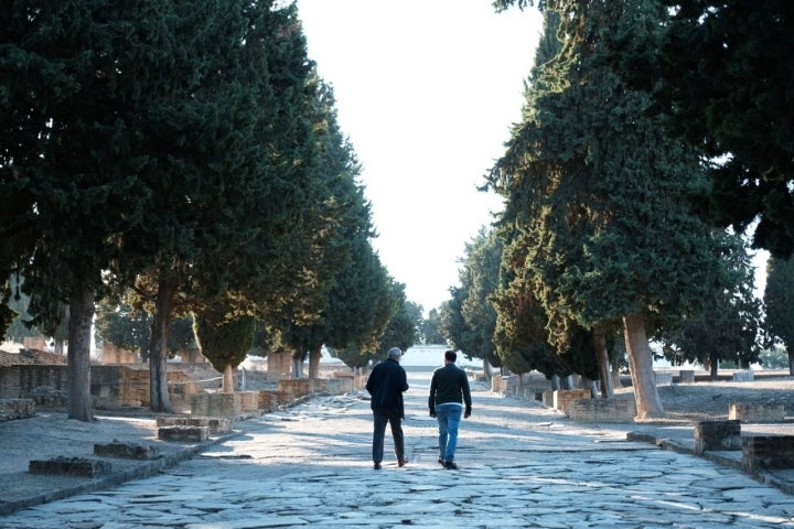 Camino de Santiago sevillano - Itálica