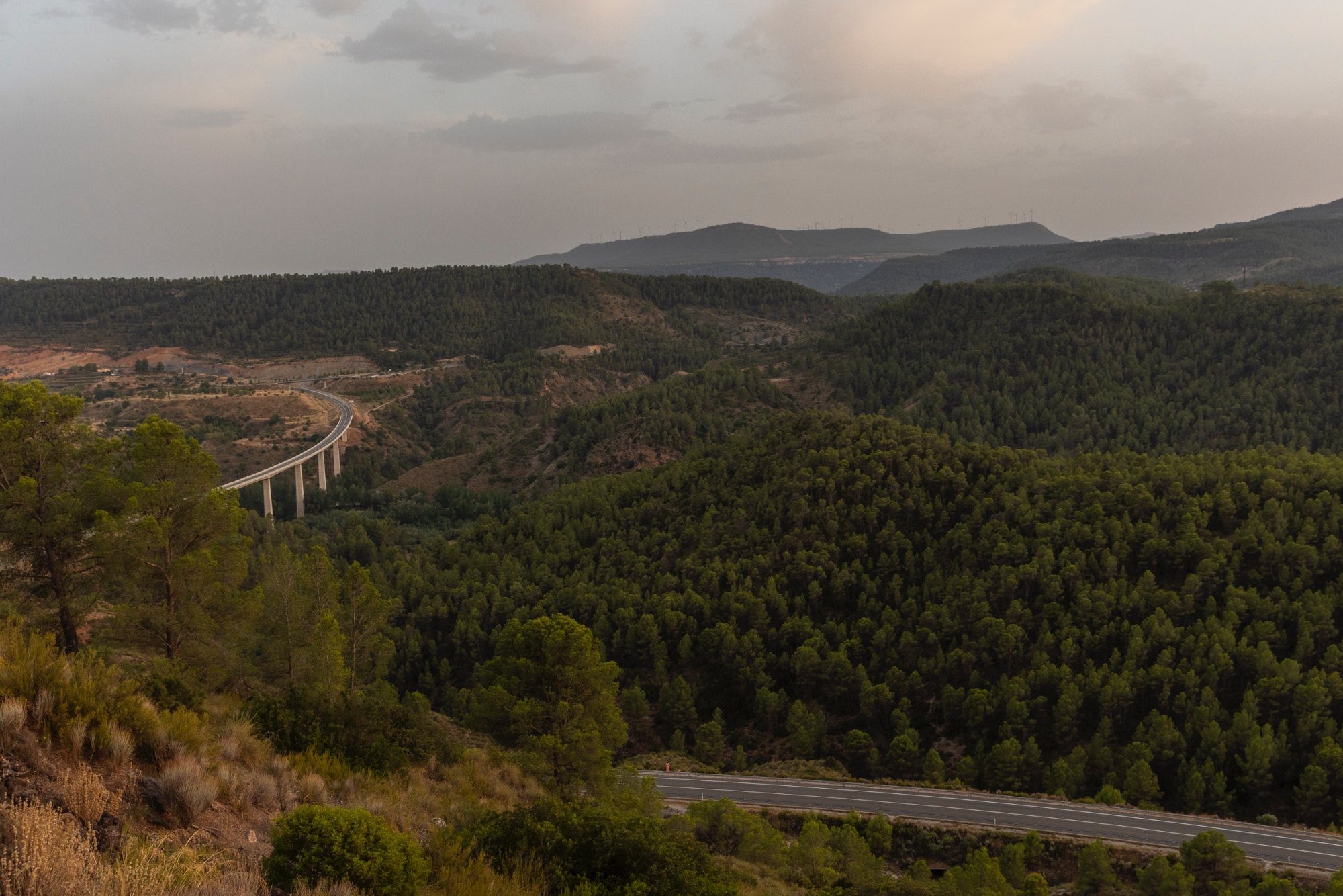 Desde el cerro se ve el viaducto de la N-330 y la inmensa masa forestal verde que cubre los valles.