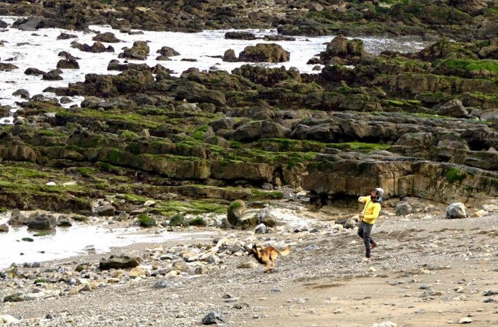 El Rinconín es el paraíso perruno de Gijón.