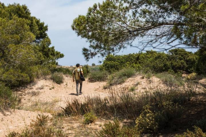 Un chico pasea entre los pinares y las dunas en El Saler (Parque Natural de La Albufera, Valencia).