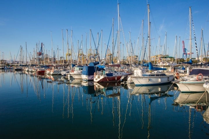 Vista de los barcos de vela en el Real Club Naútico de Valencia.