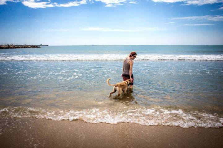Jugando con el perro en la orilla de la playa Pinedo, en El Saler (Parque Natural de La Albufera, Valencia).