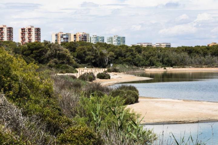 Bloques de apartamentos vacíos se levantan junto a la lagua de La Albufera (Parque Natural Albufera, Valencia).