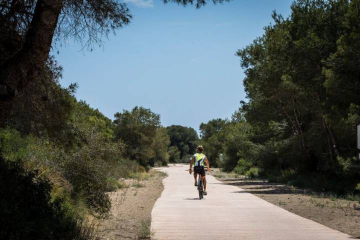 Un ciclista recorre el camino hacia la playa de la Garrofera, en El Saler (Parque Natural de La Albufera, Valencia).
