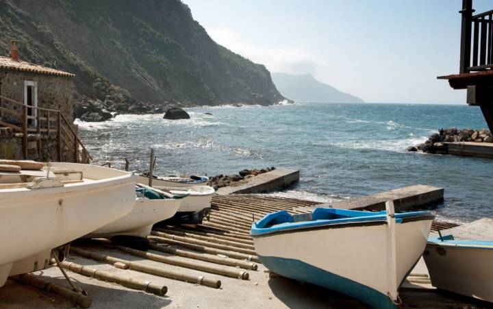 En el Puerto de Valldemosa podrás probar el pescado fresco de la zona. Foto: Shutterstock.