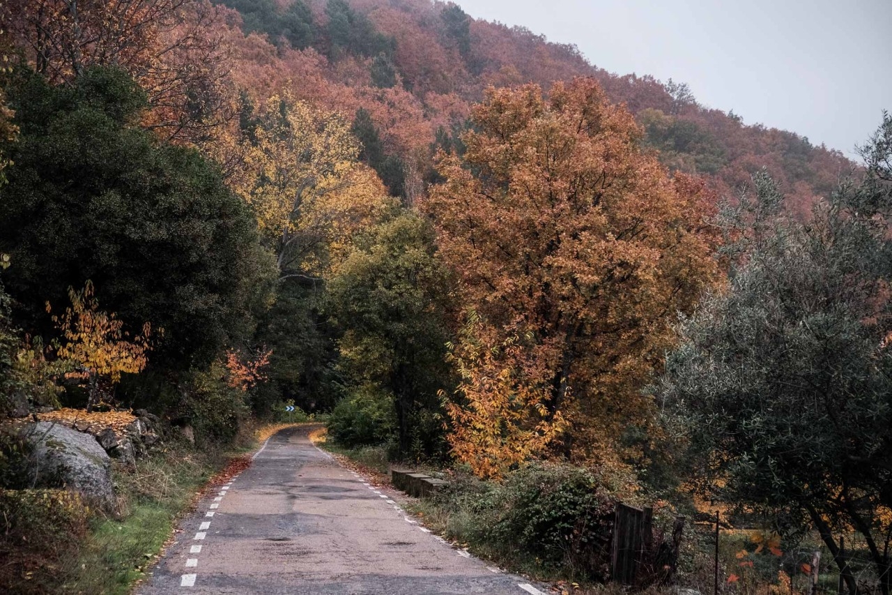 Viajar