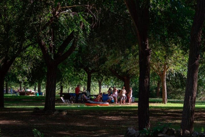 La arboleda cercana a El Torno es aprovechada por las familias para comer, descansar y disfrutar.