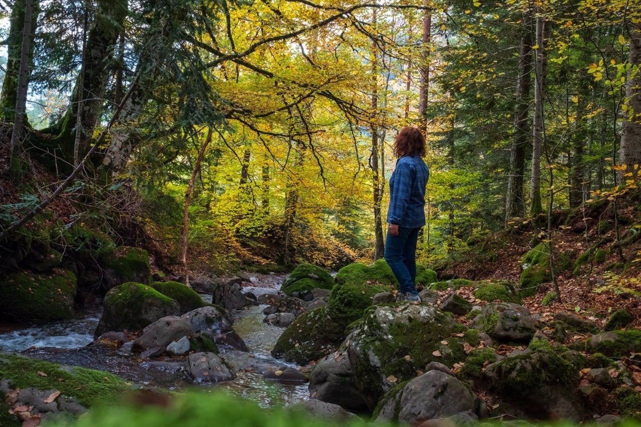 Un día en la selva de Oza