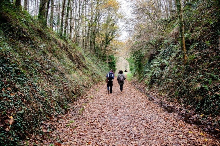 Zugarramurdi (Valle del Baztán): bosque otoñal