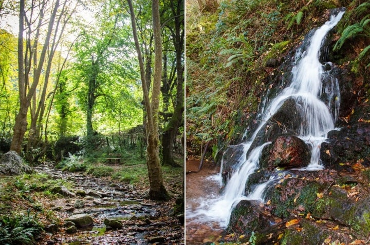 Zugarramurdi (Valle del Baztán): bosque y cascada