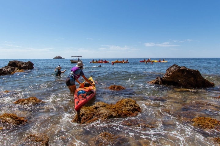 Kayak Cabo Tiñoso