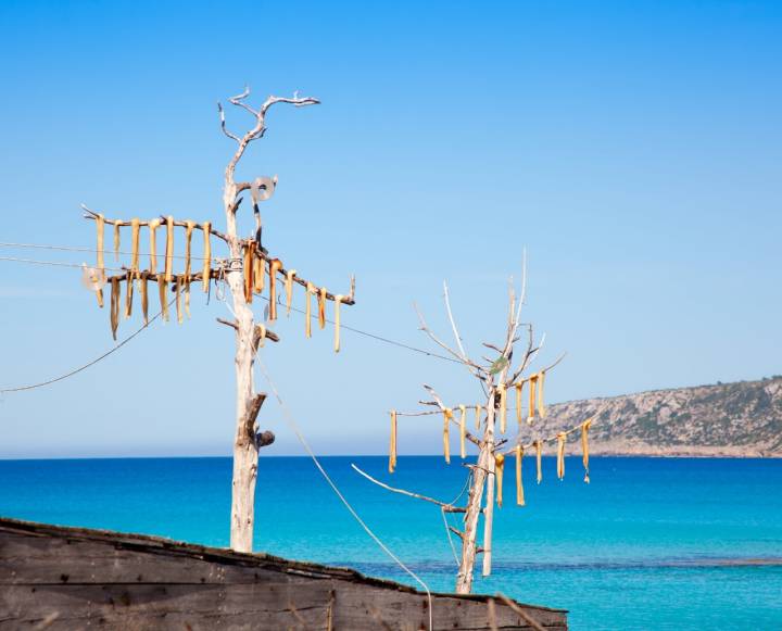 Proceso de secado natural del pescado, a la brisa y al sol de Formentera. Foto: shutterstock.