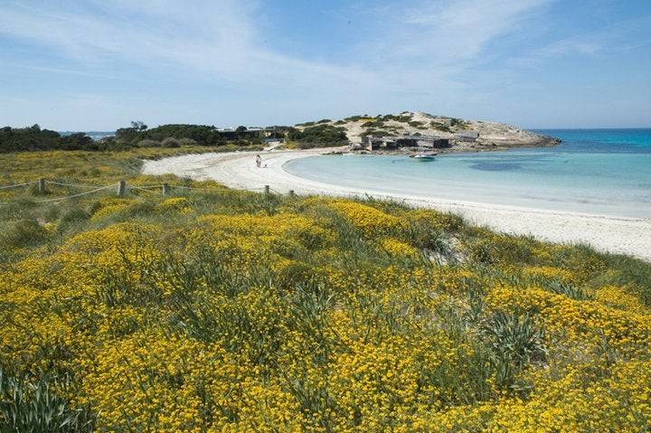 ¿Ses Illetes o un cuadro impresionista? La mejor playa de Europa. Foto: Jorge Jímenez, Facebook Turismo Formentera.