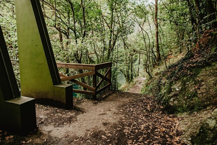 El camino de tierra que discurre en uno de los lados del río Eume, en el Camiño dos Encomendeiros.