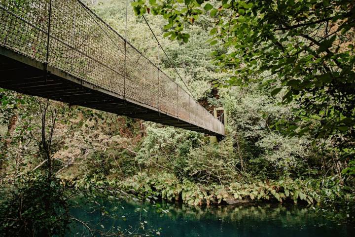 Los puentes colgantes convierten este bosque en una aventura.