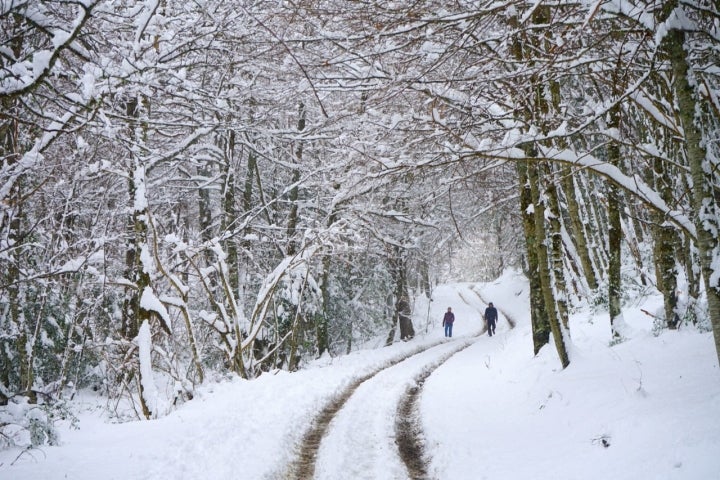 La nieve cubre ya los bosques de Fuente Dé.