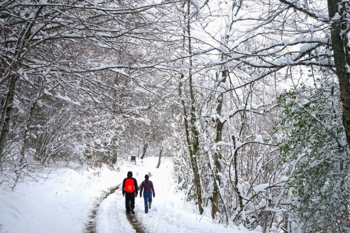 A medida que ascendemos, desciende la temperatura y la nieve empieza a adueñarse de la carretera y del hayedo de las Ilces.