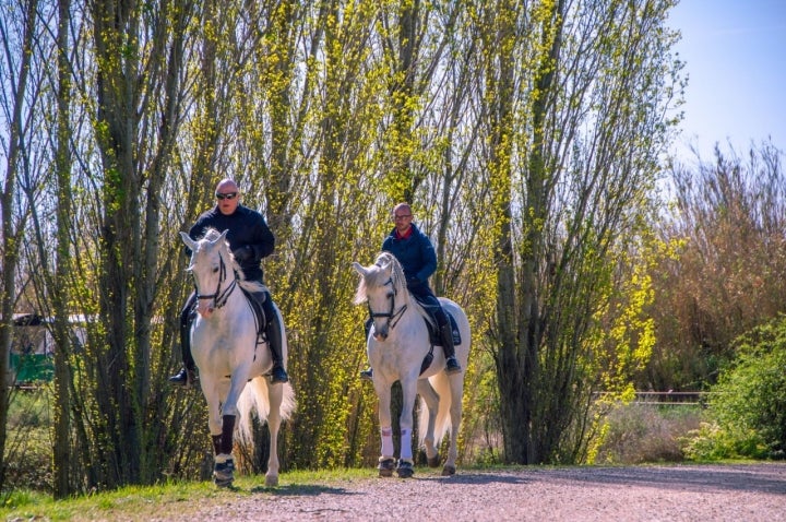 Algunos deciden acercarse a caballo.