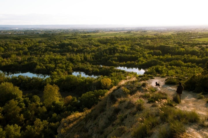 El galacho, los sotos y las lagunas vistas casi a vista de pájaro.