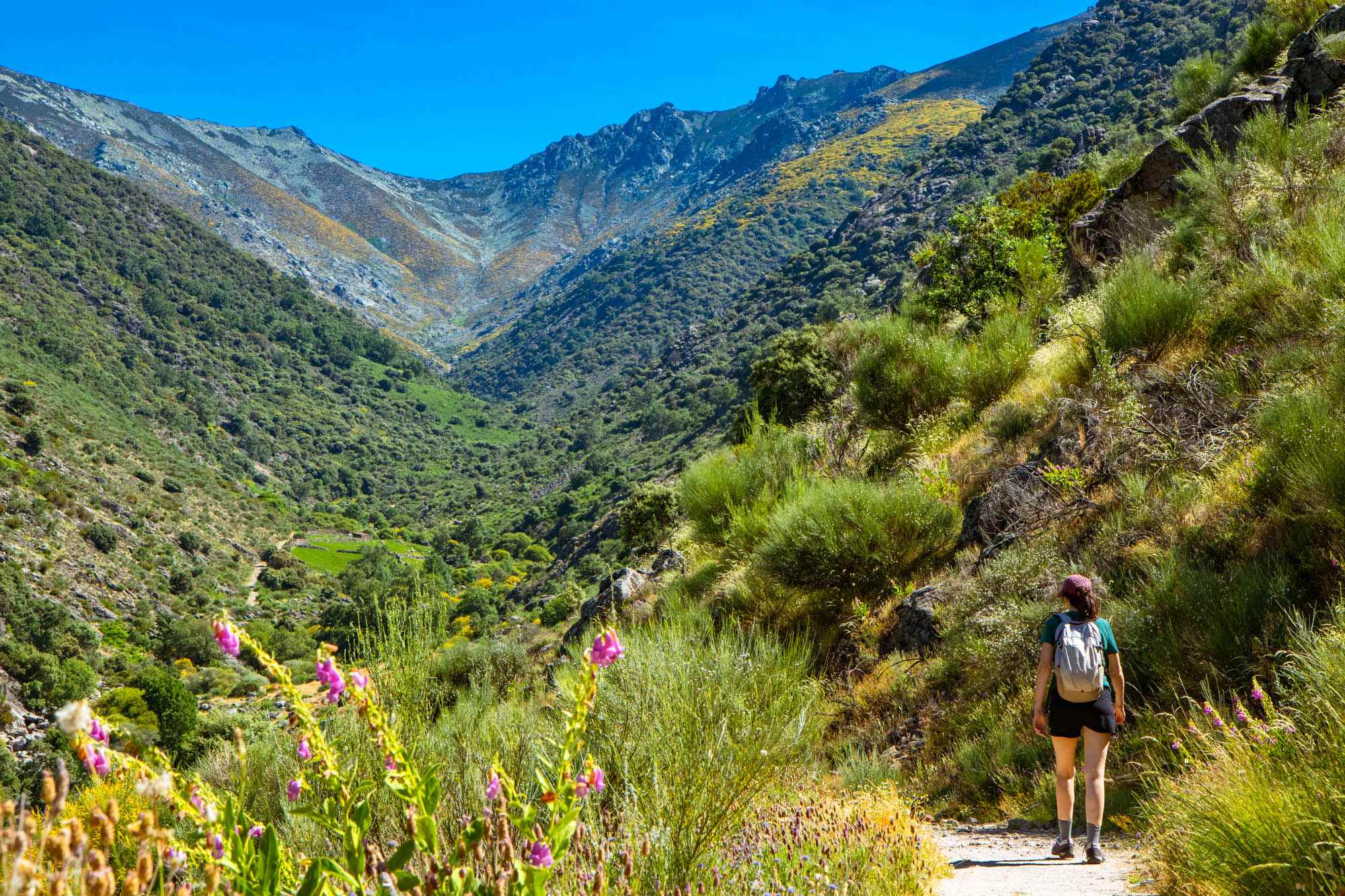 A lo largo del camino, el paisaje es de un verde intenso, con las montañas de fondo.