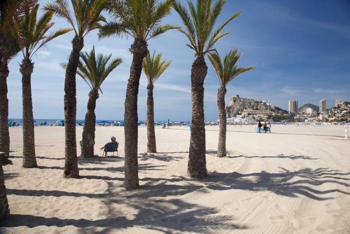 Las palmeras que no falten en el Mediterráneo.