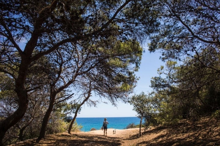 Cala del Peñón de Ifach, en Calpe, Alicante.